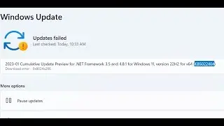 Fix Windows 11 Update KB5022404 Not Installing Error Code 0x8024a206
