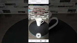Mugshot Dapp. VeChain. Veworld
