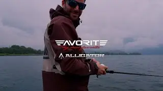 Favorite Alligator - TONY'S POWER X OLD CAPTAIN