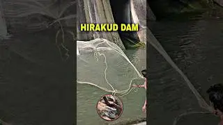 Hirakud Dam Machhadhara #hirakuddam #video #fishing #viral #shorts #short #shortvideo #viralvideo
