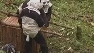 Keepers wear fancy-dress at China panda reserve