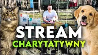 🔴LIVE CHARYTATYWNY - DZIEŃ #25😸🐶❤️ !!!🎮 #charity #cat #dog #animalshelter #stream #fyp #live