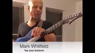 Tone Specific Humbucker P.A.F Pickups Review - Mark Whitfield