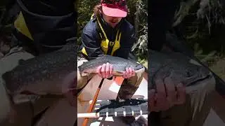 I&rsquo;ve spent the last 4 months exploring the remote Canadian wilderness #camping #fishing #outdoors