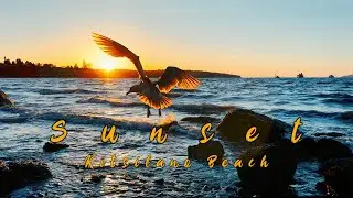 Golden Hour - Waves White Noise | Work, Study, Insomnia Relief