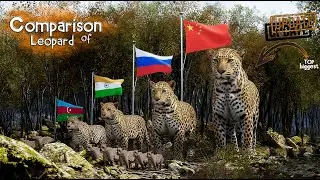 Leopard Population Comparison by Country (2025)
