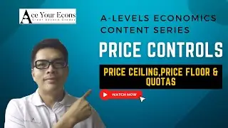 A-Level Economics Content Series - Price Ceiling, Price Floor and Quotas