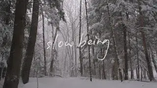 Slow Being | Winter Solstice at the Cottage on Lake Joe