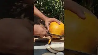 King coconut cutting skills #asmr #satisfying #coconutcutting #fruit