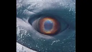 Moby Dick Pre-Roll Credits