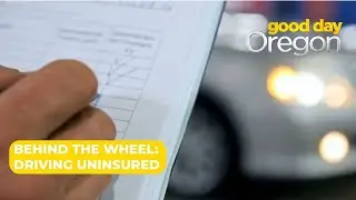 The cost of driving without insurance