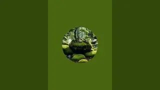 Deep_vlogx is live