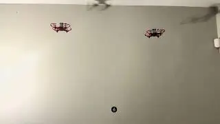 Twin Swarm Coordinated Flight & CBF Safety