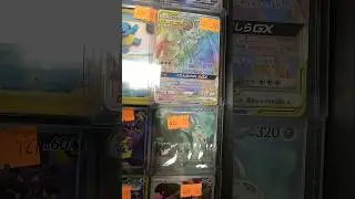 What's in the store? Episode 78: New display and cards update! #pokemon