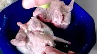 Preparación de palomas silvestres torcazas.