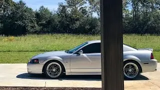 INSANELY FAST AUDI S4 RACES TERMINATOR COBRA