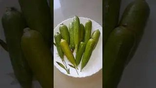 Janhi Recipe/Odia dish/Janhi Bhaja#Easy and Tasty Ridge Gourd recipe#janhi  Bhaja for bhata/Roti/Nan