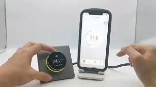 Терморегулятор BHT-6000