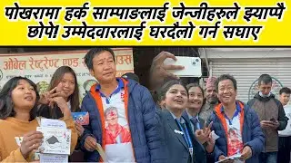 पोखरामा हर्क साम्पाङलाई जेन्जीहरुले झ्याप्पै छोपे! उम्मेदवारलाई घरदैलो गर्न सघाए