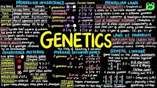 Genetics | Cell & Genetics 08 | Biology | PP Notes | Campbell 8E Ch. 14-16