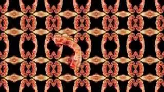 Bacon Song - Dj Sizzle