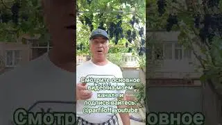Всегда есть место прекрасному, смотри видео YouTube: 