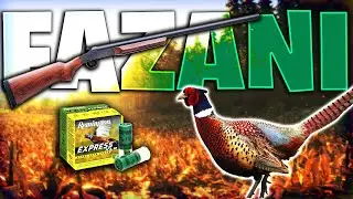LOVIMO FAZANE U POLJIMA/EASY gm$ - theHunter Classic Ep#7