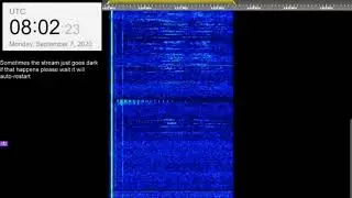 The Buzzer/UVB-76(4625Khz) September 7th 2020 08:01UTC Voice message