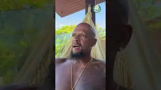 Felipe Melo falou sobre Jhon &Aacute;rias #palmeiras #futebol #felipemelo