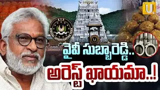 SIT Officers Investigation On YV Subbareddy | వైవీ సుబ్బారెడ్డి..అరెస్ట్ ఖాయమా.! | ITS UTV News