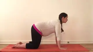 Cat Stretch - Pregnancy Yoga Video