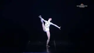 Attodue Carolina Beni solo