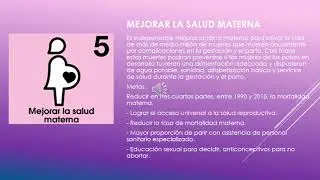 Objetivos de Desarrollo del Milenio ODM