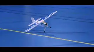 Piper ACRO [Trailer]