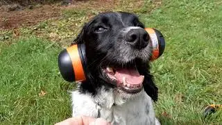 Prohear 037. Ear defenders with bluetooth. 1st review