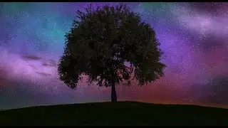 One Planet Peace Forum -  Peace Messages for the World
