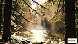 Elton JohnLionel RichiePhil CollinsBee GeesEaglesForeigner 📀 Old Love Songs 70s,80s,90s- Back to Y