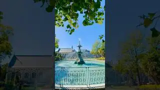 Christchurch Botanic Gardens | New Zealand #shorts #christchurch #youtubeshorts