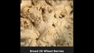 Organic Artisanal Wheat Berries Ground, RO Water Sugar, Eggs, Avocado Oil, Salt Yeast, 5X rise Bread