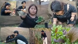 Nrog thaiv wb ywg tshuaj thiab ywg zaub ua ke os ob peb hnub no mob zoo los ma zaub zoo kawg li