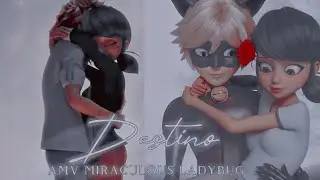 #concursomiraculousangeelis AMV //DESTINO NACHO y Greeicy