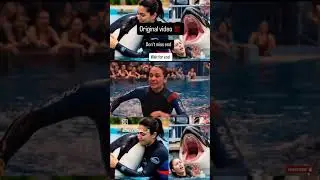ocra dolphin Jassica #JessicaRadcliffe #OrcaAttack #HoaxAlert #AIHoax #FakeNews #FactCheck