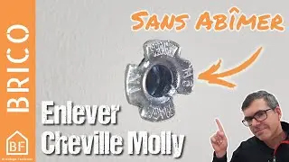 How to remove a Molly ?