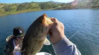 Tough Spawn Bite After Cold Front   Teaching Son How To Bed Fish