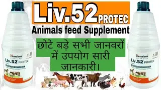 Liv.52 Protec Liquid || भूख वजन बढ़ाने की दवा || Animal feed Supplement @Veterinary Medicine #vet