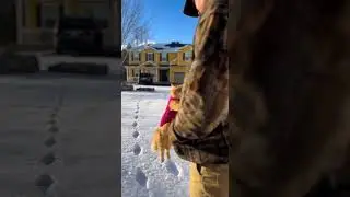😺 🐈 Flying Cat in sweater hugs Soldier! Heartwarming reunion #cat #pets #soldier
