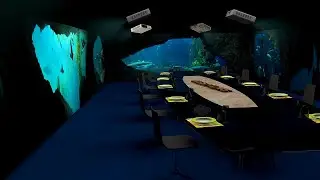 Immersion 360