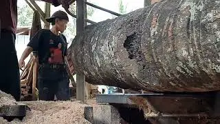 hardwood of all time !! turning coconut wood into building materials at the yard sawmill 