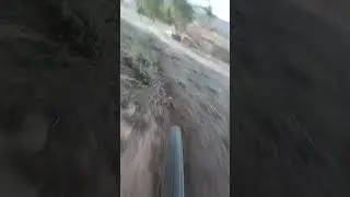 MTB cardona
