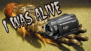 I Was Alive